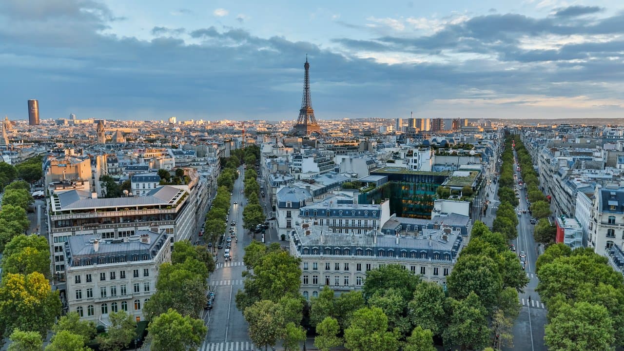 Panorama di Parigi con la Torre Eiffel, tetti storici e viali alberati al tramonto.